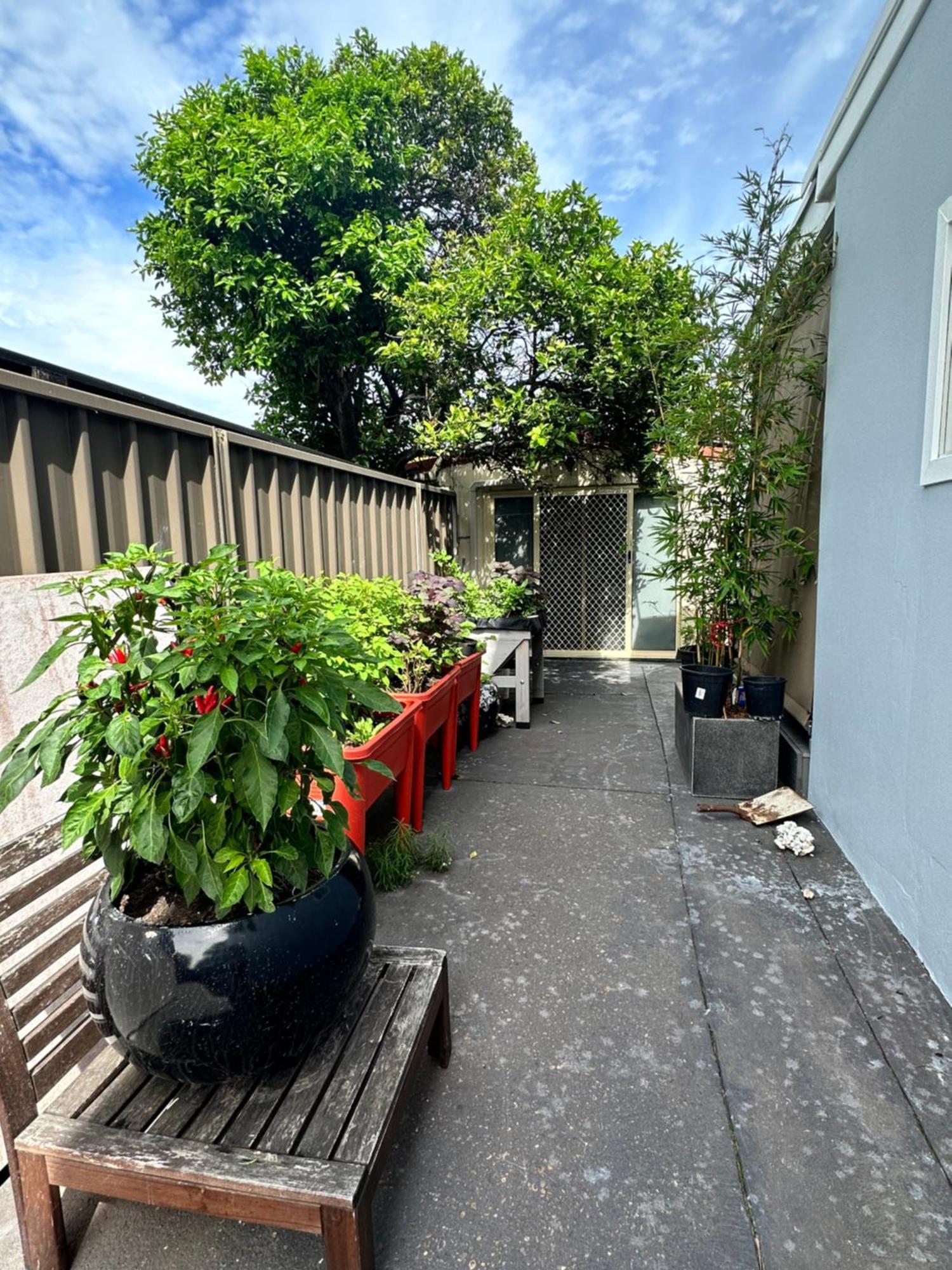 Private, Local Living In Mascot, Airport * Sydney